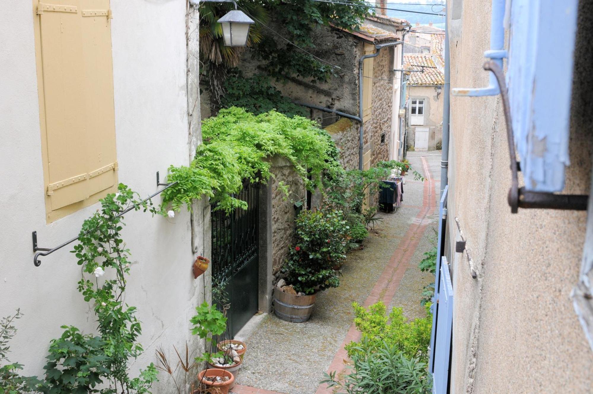 Maison Rives - Village Du Livre De Montolieu Bagian luar foto